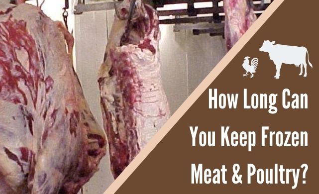 how long can you keep meat frozen
